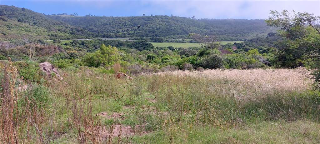637 m² Land available in Pienaarstrand photo number 6