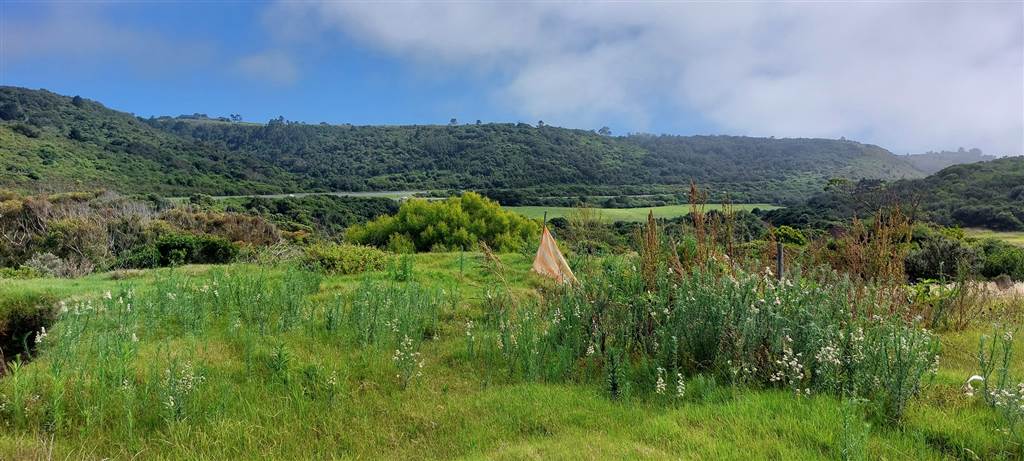 637 m² Land available in Pienaarstrand photo number 13