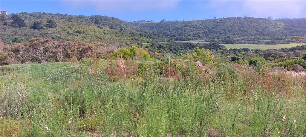 637 m² Land available in Pienaarstrand photo number 11