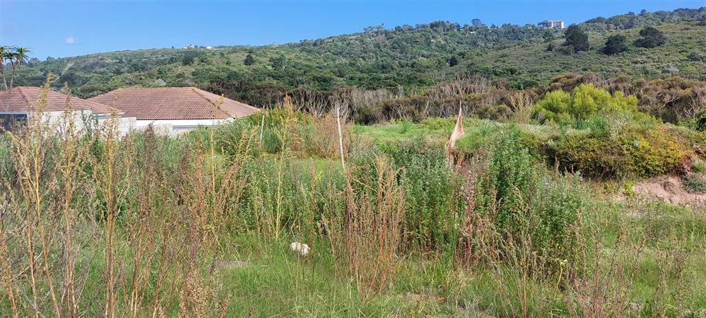 637 m² Land available in Pienaarstrand photo number 8