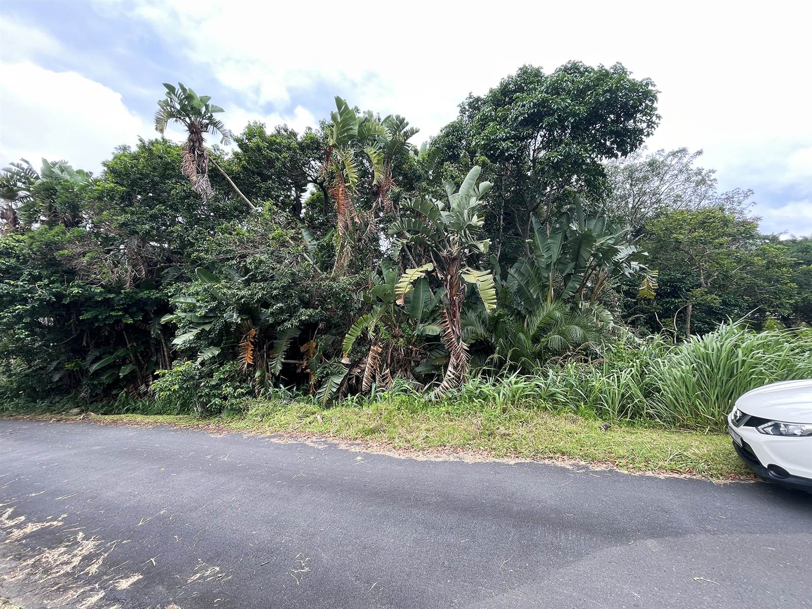 5334 m² Land available in Southbroom photo number 5