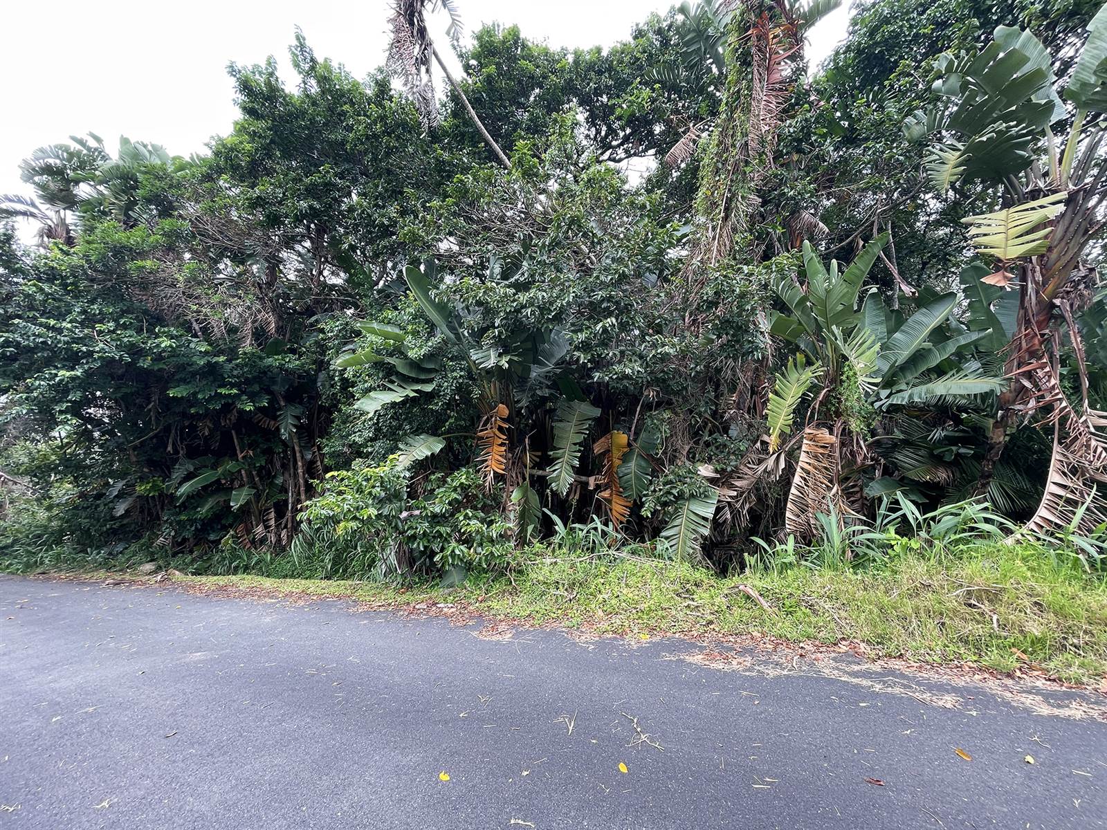 5334 m² Land available in Southbroom photo number 9