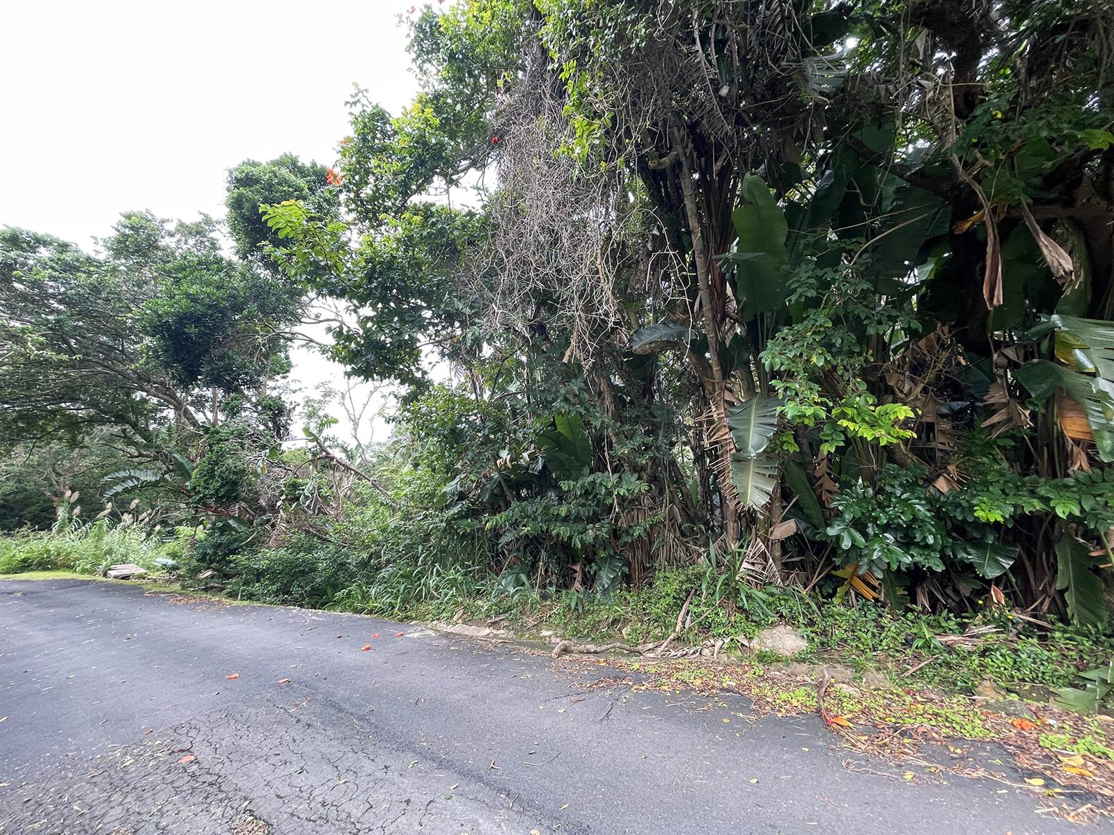 5334 m² Land available in Southbroom photo number 11
