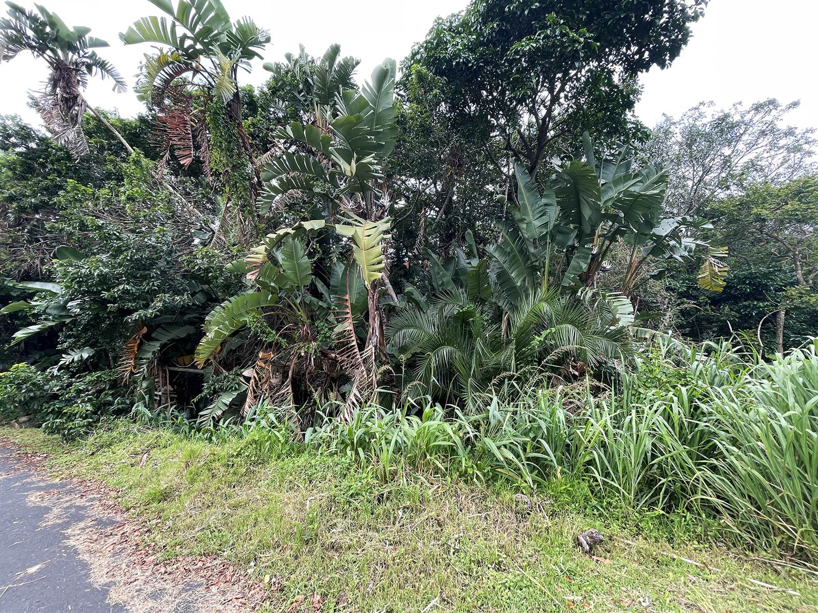 5334 m² Land available in Southbroom photo number 7