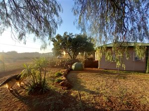 3 Bed House in Daleside