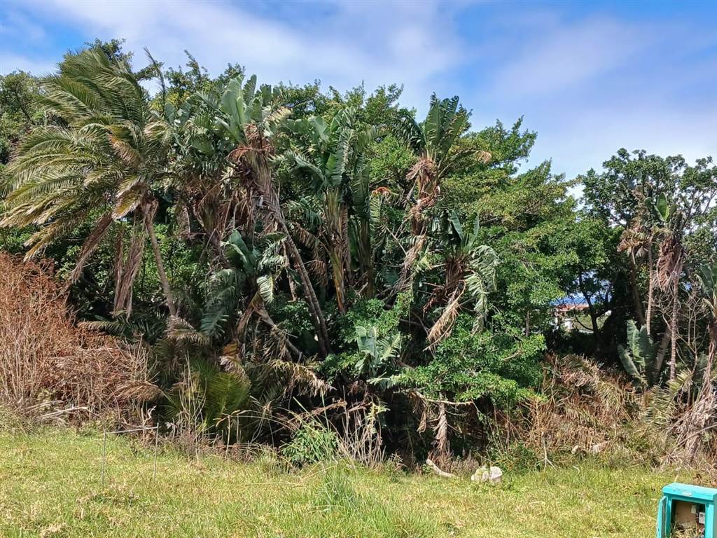 760 m² Land available in Kei Mouth photo number 4