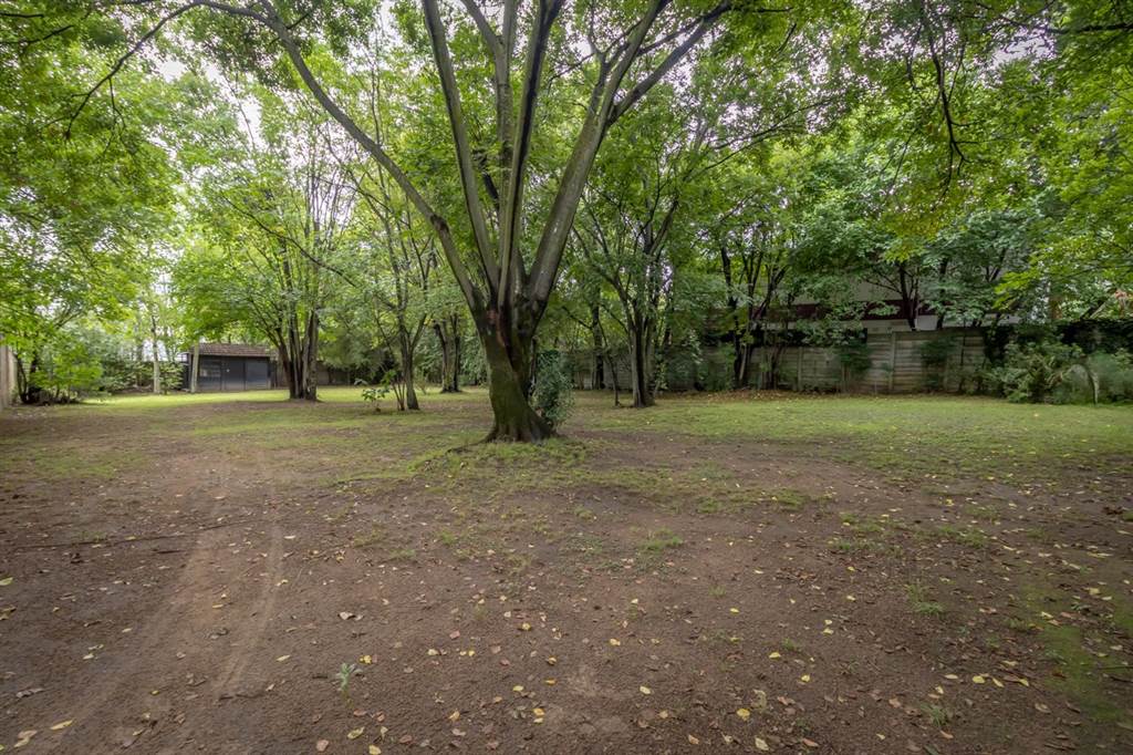927 m² Land available in Craighall photo number 6