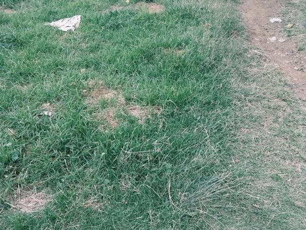 353 m² Land 353 m² Land