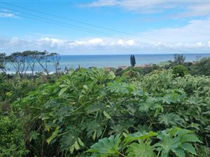 2015 m² Land available in Sezela