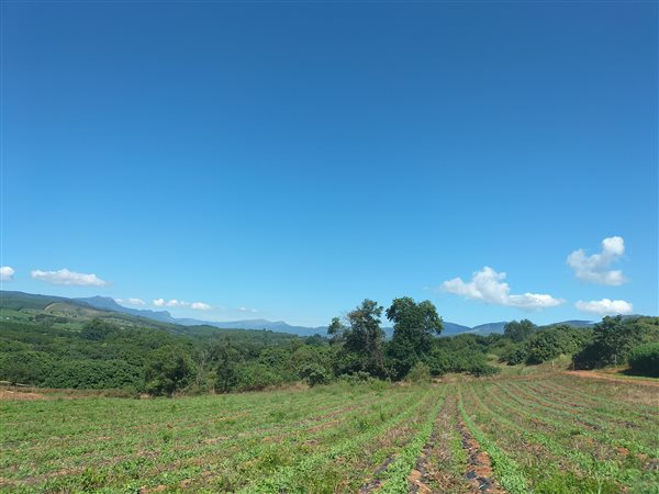 2.1 ha Smallholding