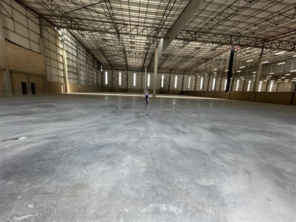 3921  m² Industrial space in Louwlardia