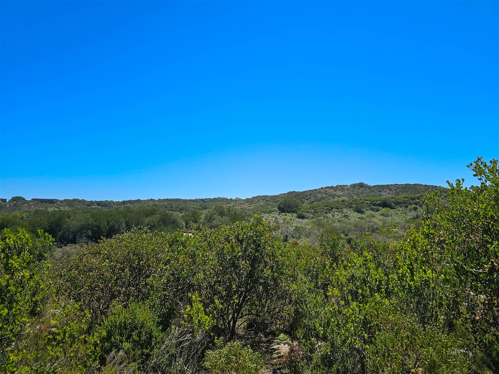 6353 m² Land available in Pezula Private Estate photo number 10