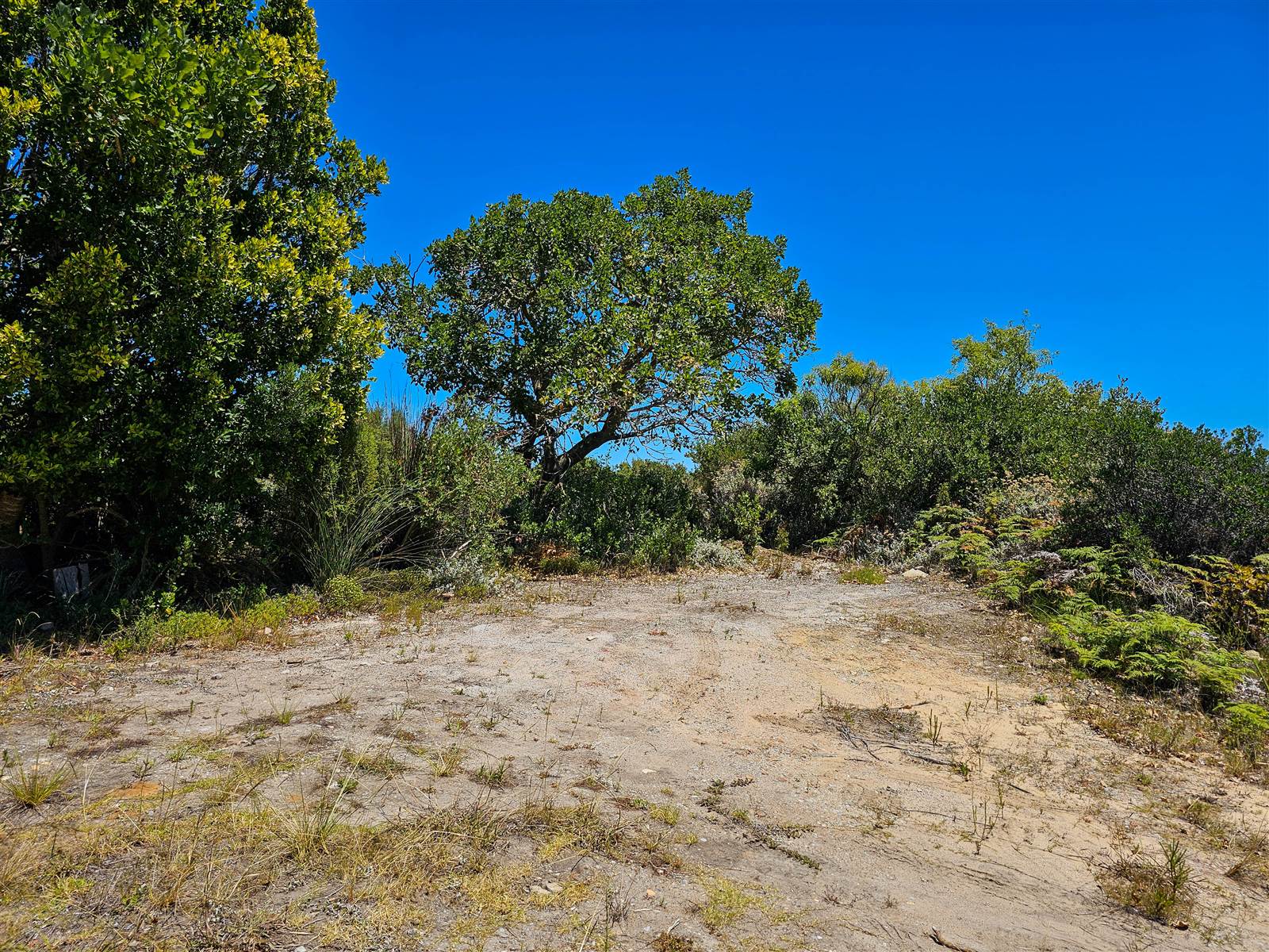 6353 m² Land available in Pezula Private Estate photo number 3