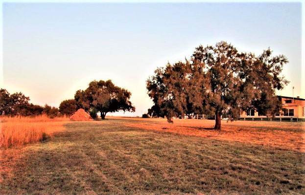46 ha Farm in Lanseria and surrounds photo number 13