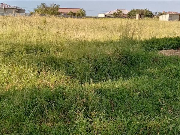 1884 m² Land available in Jameson Park