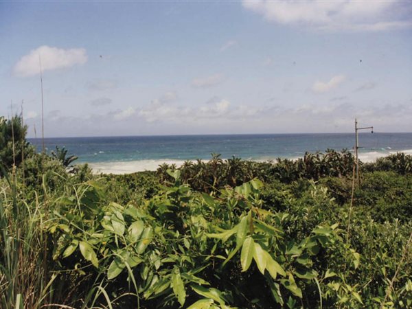 1854 m² Land available in Bazley Beach