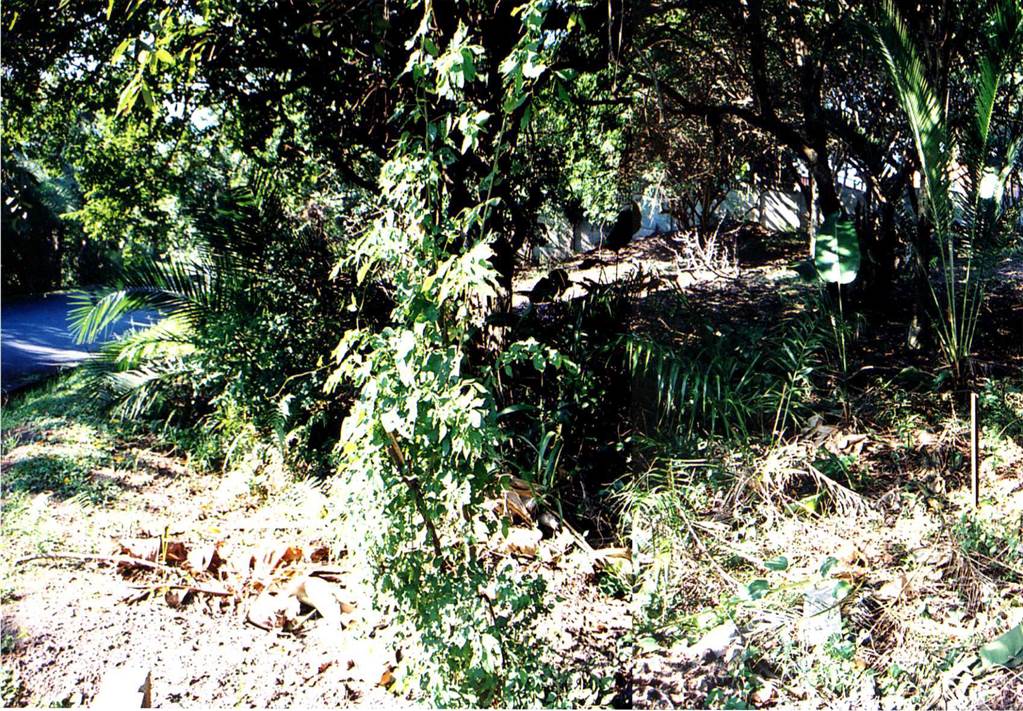 1854 m² Land available in Bazley Beach photo number 3