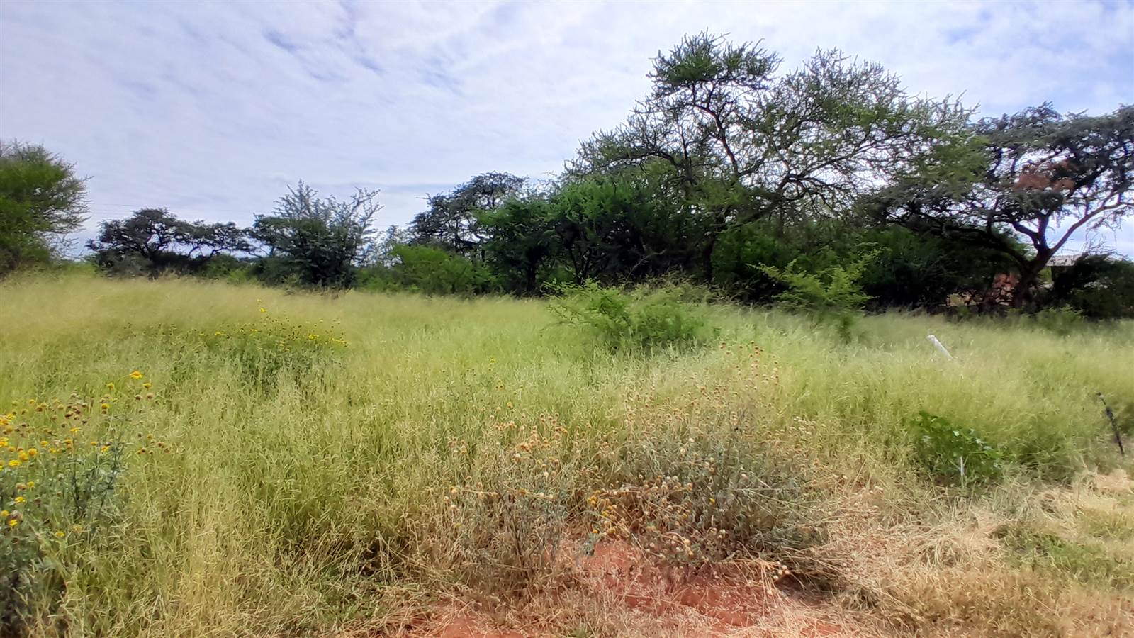 1500 m² Land available in Chroom Park photo number 9