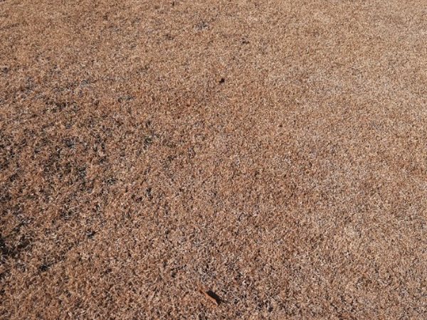 353 m² Land 353 m² Land
