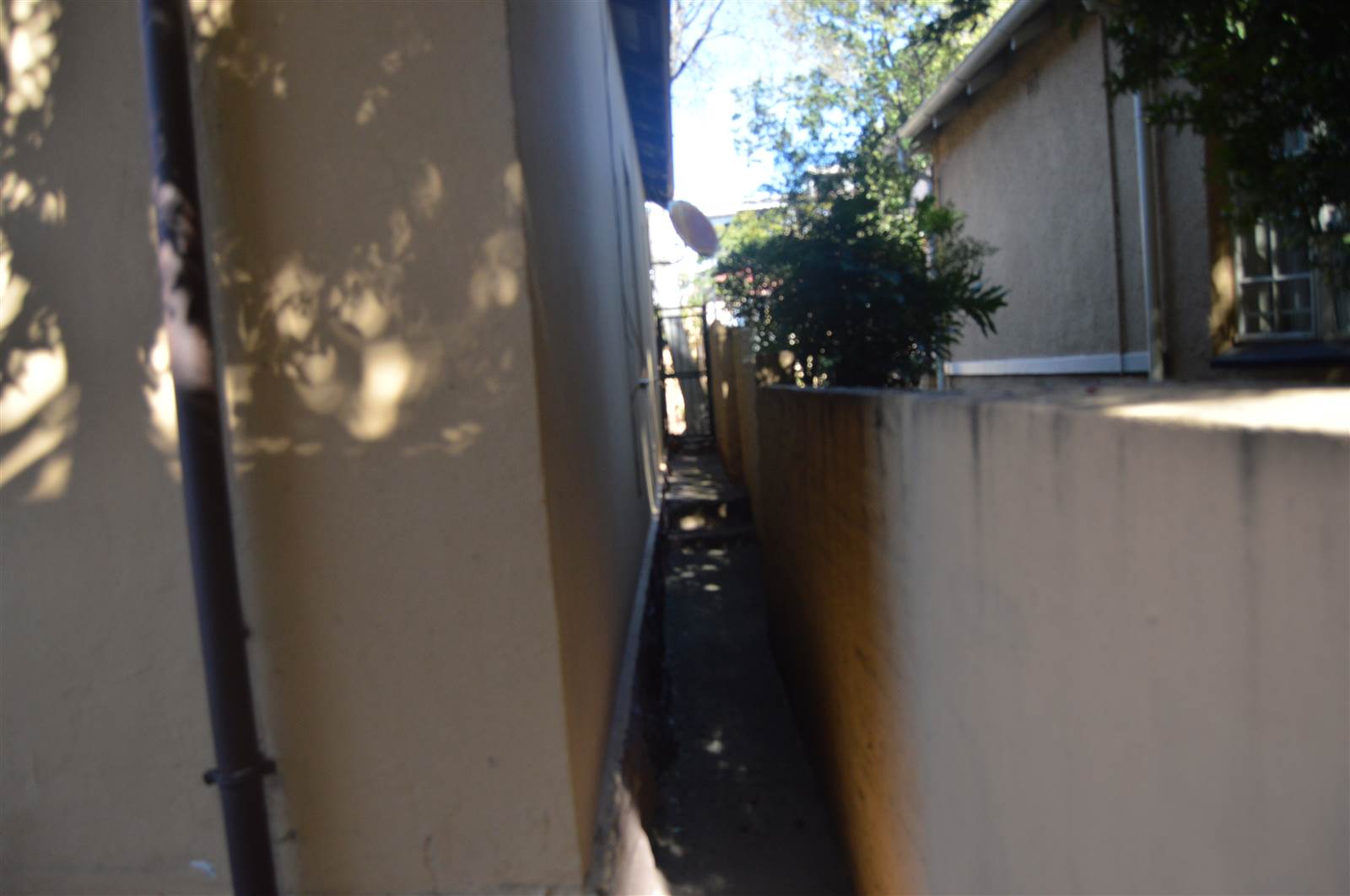 4 Bed House in Yeoville photo number 26