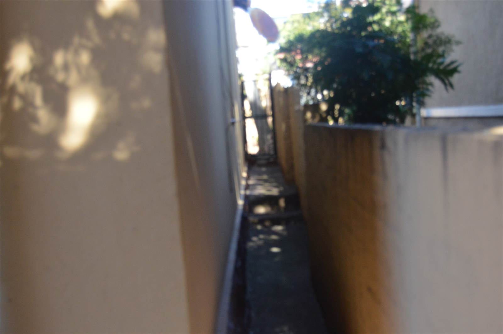 4 Bed House in Yeoville photo number 25