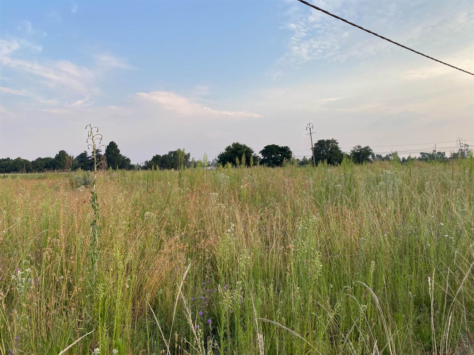 260 m² Land available in Golden Gardens photo number 2