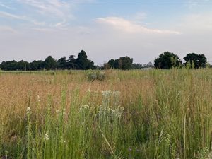 260 m² Land available in Golden Gardens