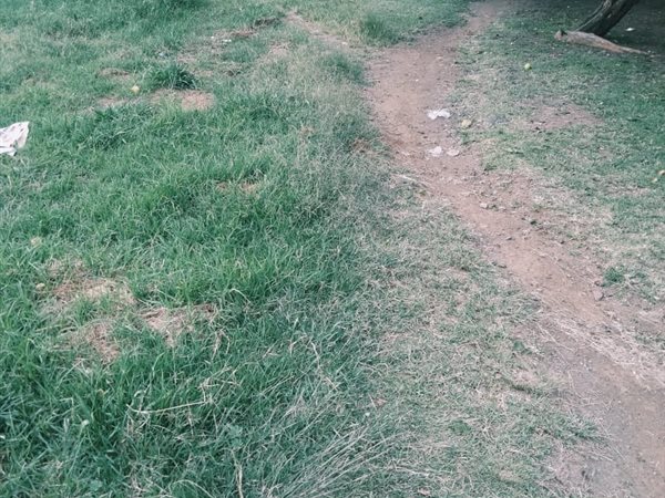353 m² Land 353 m² Land