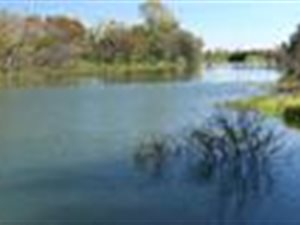 21 ha Farm in Mooiplaats AH