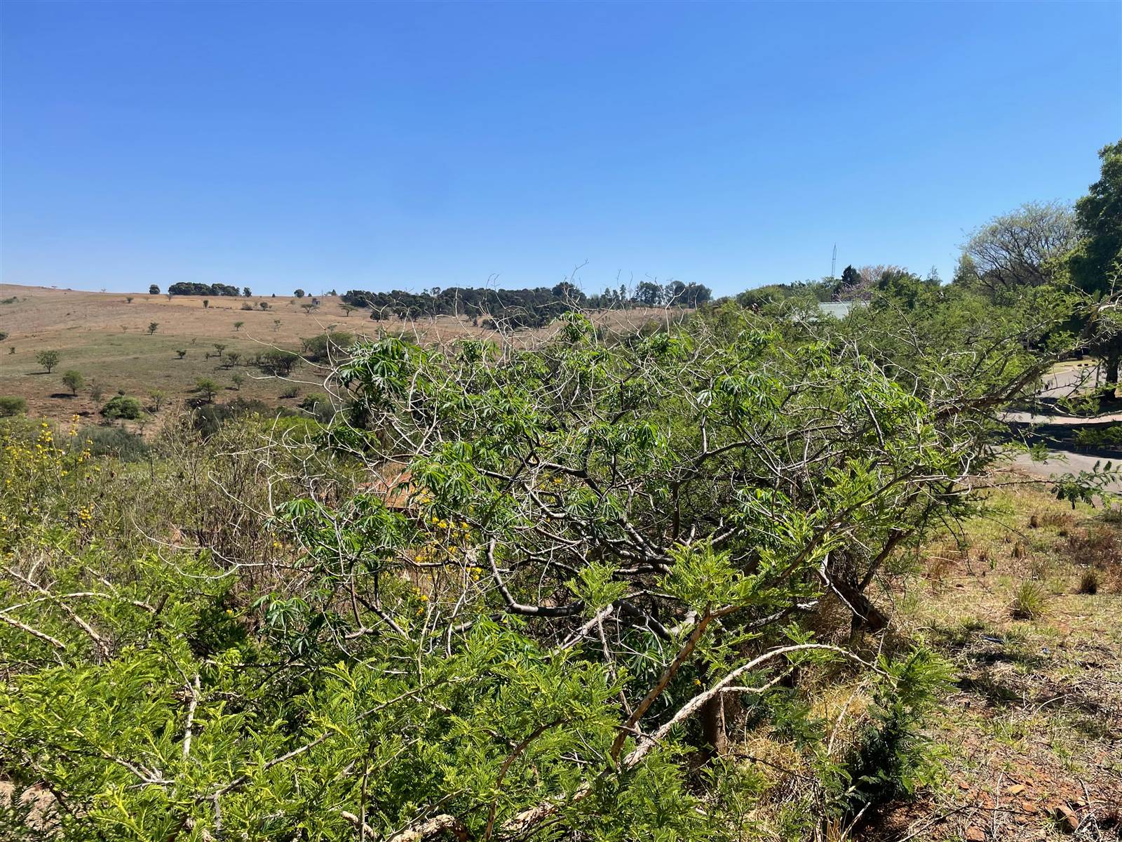 3051 m² Land available in Signal Hill photo number 17
