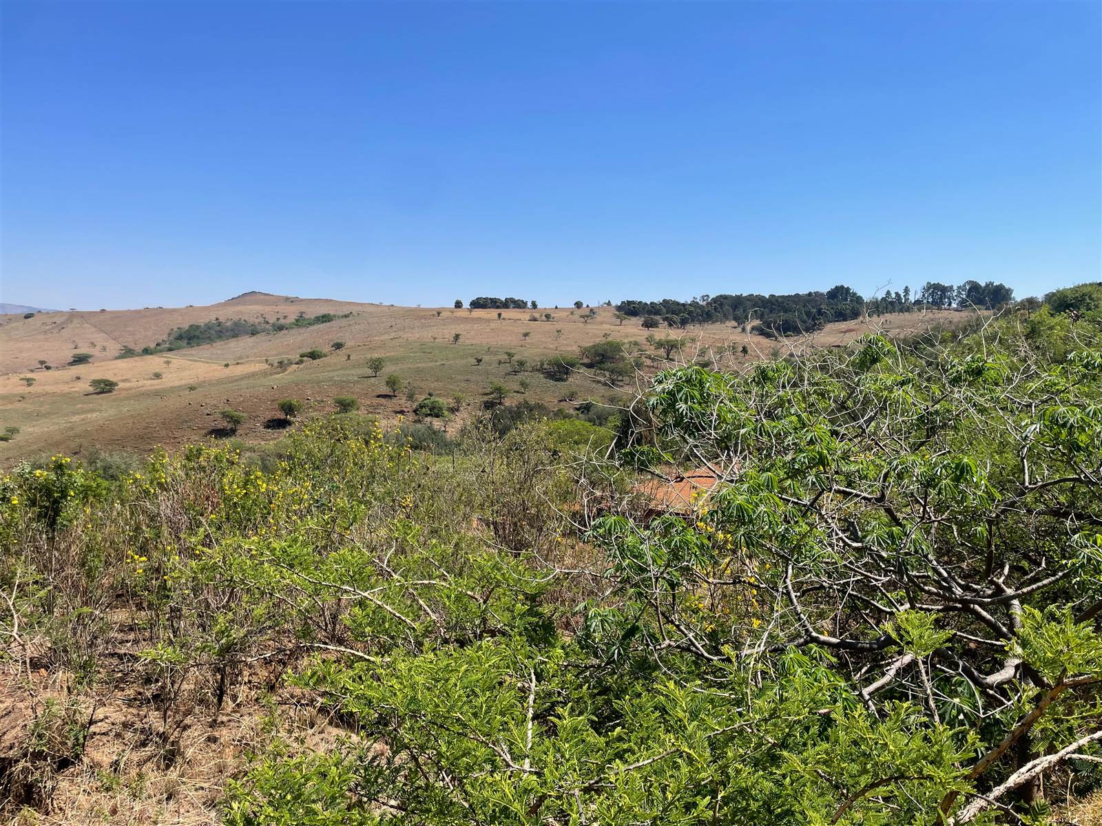 3051 m² Land available in Signal Hill photo number 9