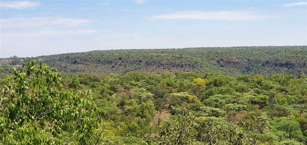 9966 m² Land available in Bela-Bela (Warmbaths) photo number 4