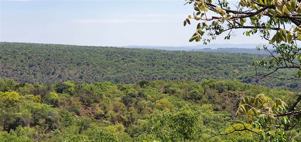 9966 m² Land available in Bela-Bela (Warmbaths) photo number 3