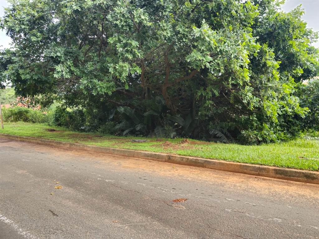 974 m² Land available in Ballito photo number 3