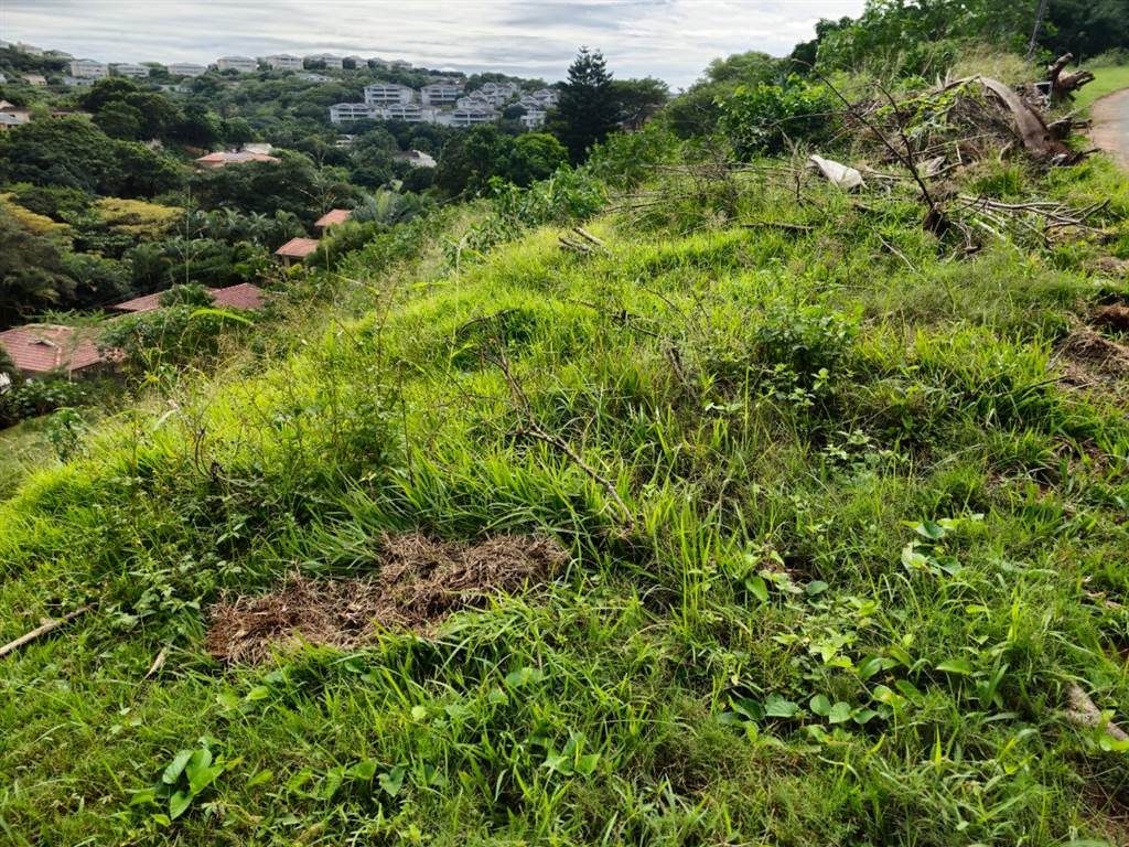 974 m² Land available in Ballito photo number 5