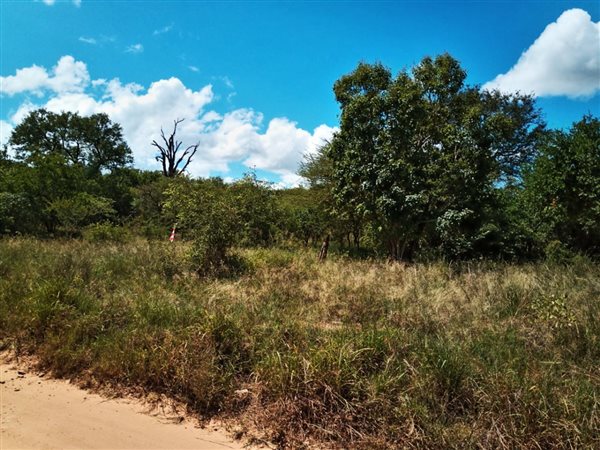2302 m² Land available in Hectorspruit