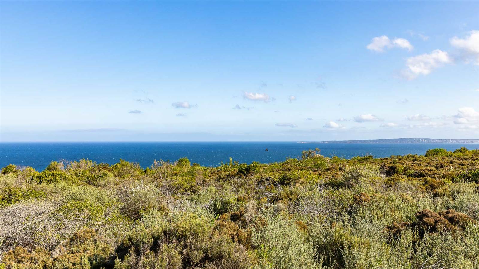 3156 m² Land available in Nautilus Bay photo number 21