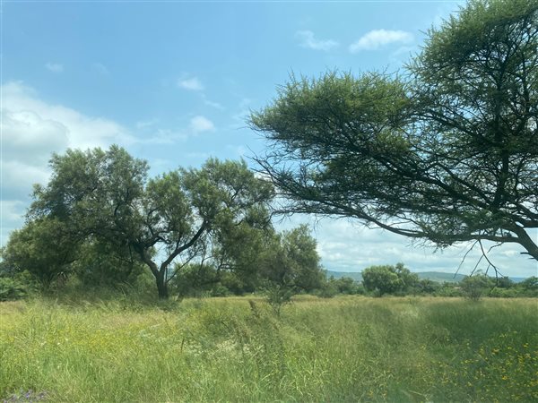 5853 m² Land available in Swartruggens