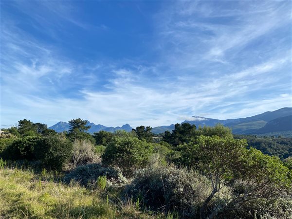 6.2 ha Land available in Wilderness Heights