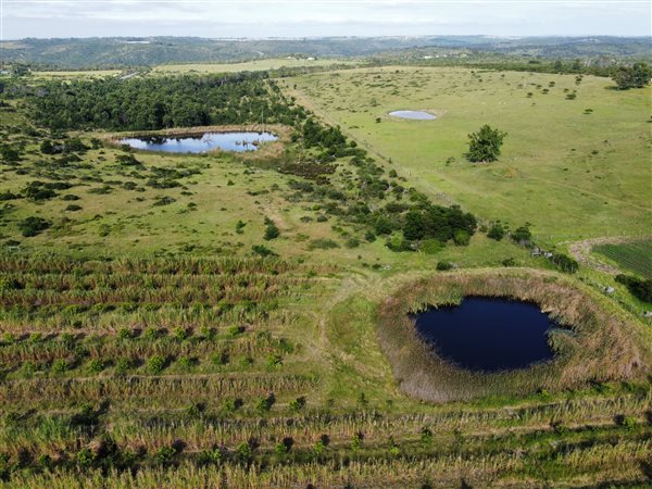 57.2 ha Farm