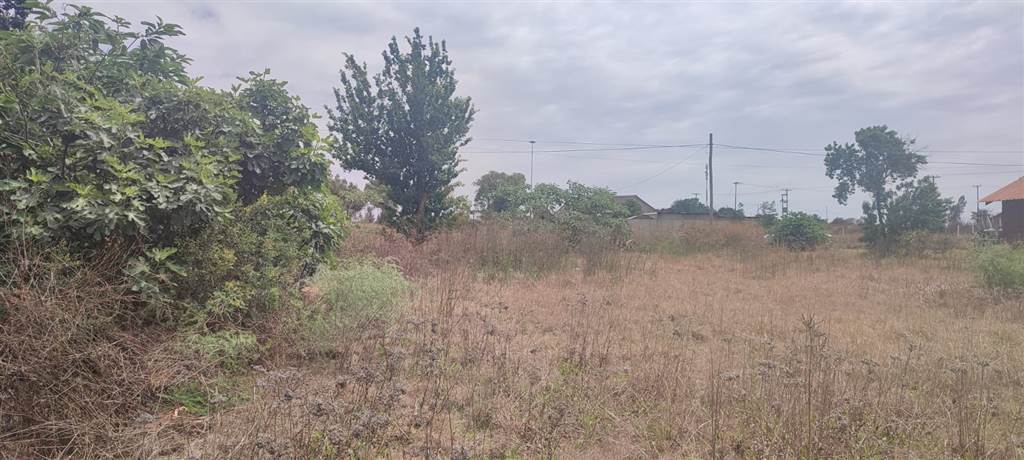 892 m² Land available in Derby photo number 8