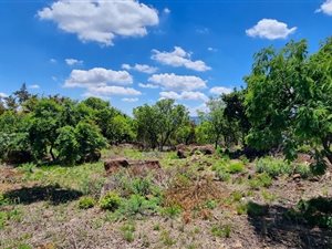 5008 m² Land available in Tygerberg Country Estate