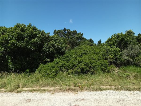 664 m² Land