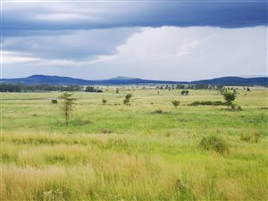 572.4 ha Farm in Dundee