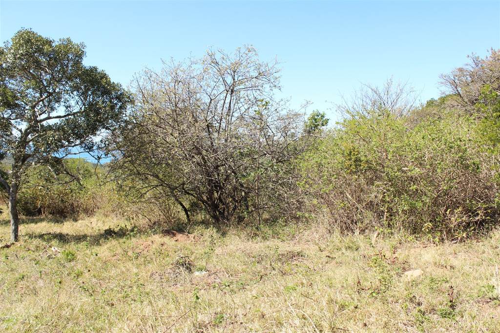805 m² Land available in Cintsa photo number 6