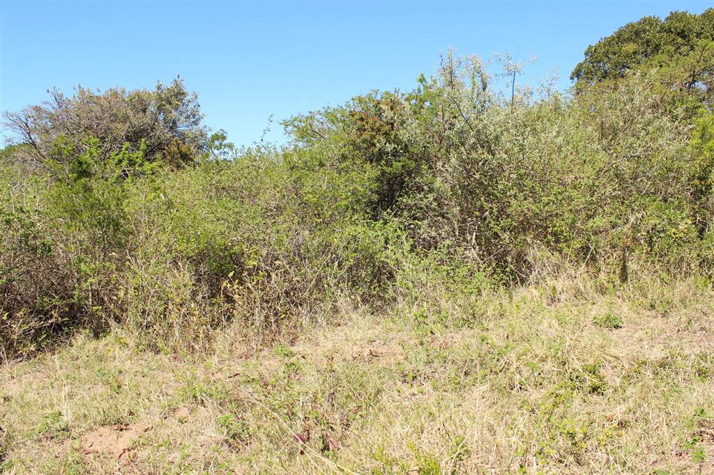 805 m² Land available in Cintsa photo number 8