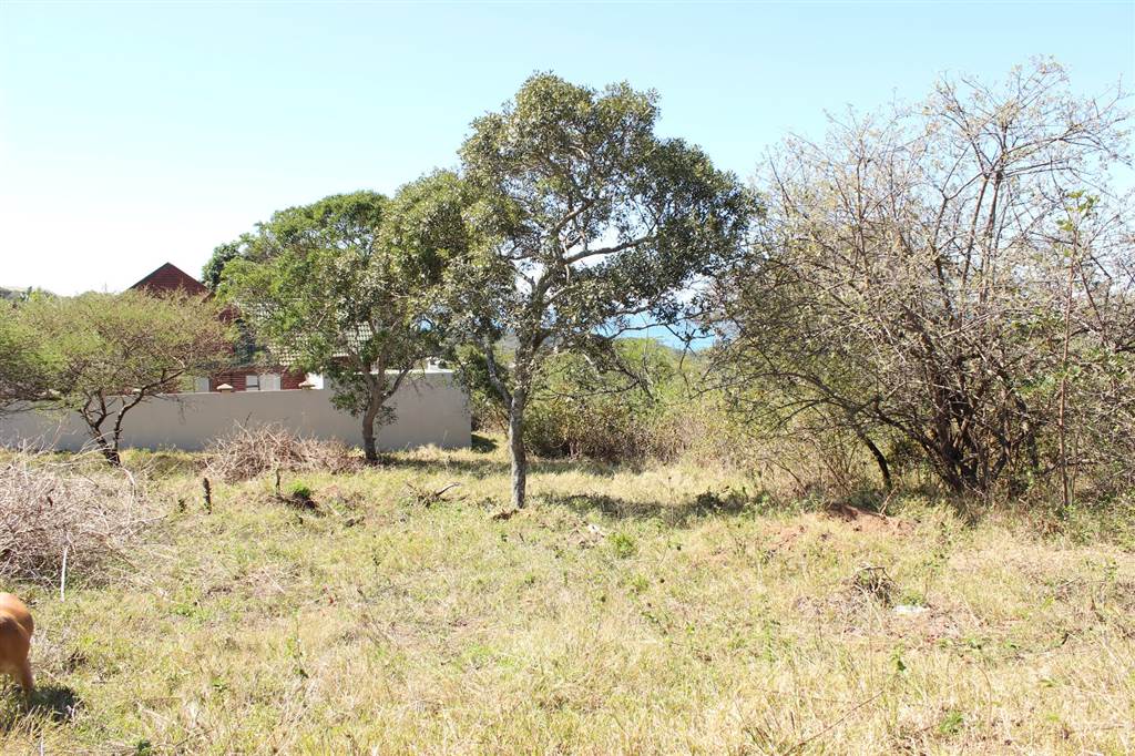 805 m² Land available in Cintsa photo number 5