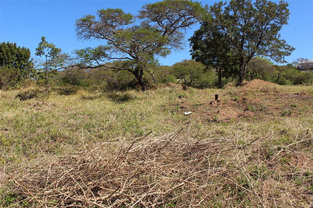 805 m² Land available in Cintsa photo number 10
