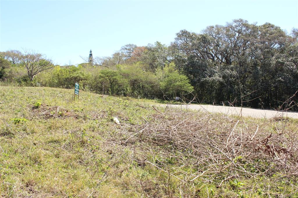 805 m² Land available in Cintsa photo number 4