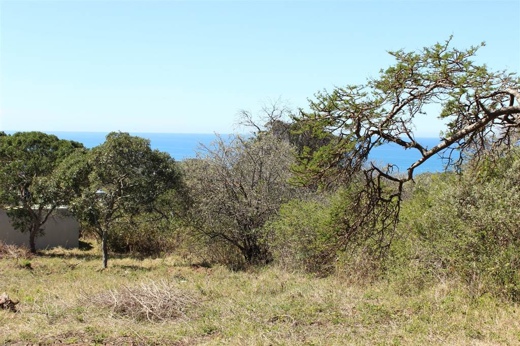 805 m² Land available in Cintsa photo number 1